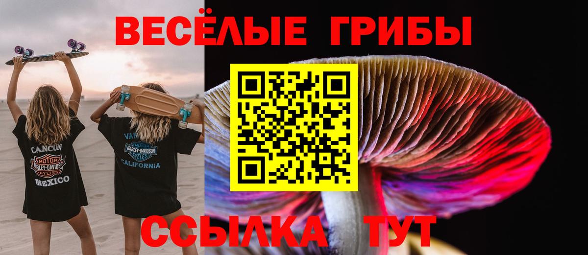 Псилоцибиновые грибы ЛСД Ленинск-Кузнецкий